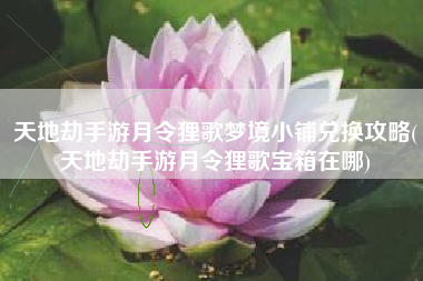 天地劫手游月令狸歌梦境小铺兑换攻略(天地劫手游月令狸歌宝箱在哪)