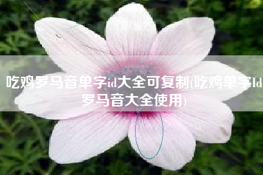 吃鸡罗马音单字id大全可复制(吃鸡单字Id罗马音大全使用)