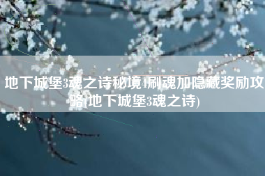 地下城堡3魂之诗秘境4刷魂加隐藏奖励攻略(地下城堡3魂之诗)