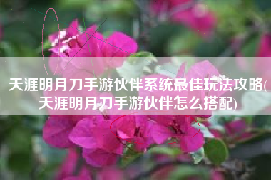天涯明月刀手游伙伴系统最佳玩法攻略(天涯明月刀手游伙伴怎么搭配)