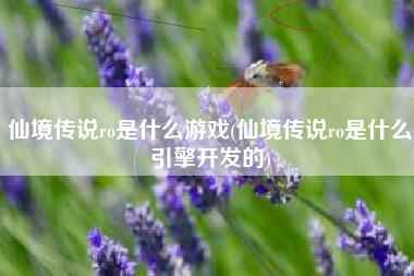仙境传说ro是什么游戏(仙境传说ro是什么引擎开发的)