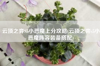 云顶之弈S5小恶魔上分攻略(云顶之弈s5小恶魔阵容装备搭配)