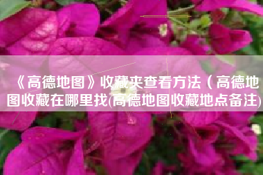 《高德地图》收藏夹查看方法（高德地图收藏在哪里找(高德地图收藏地点备注)