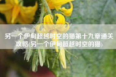 另一个伊甸超越时空的猫第十九章通关攻略(另一个伊甸超越时空的猫)