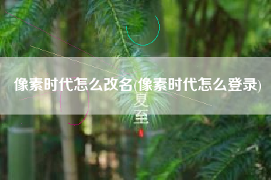 像素时代怎么改名(像素时代怎么登录)
