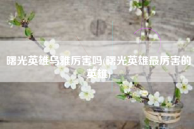 曙光英雄乌雅厉害吗(曙光英雄最厉害的英雄)