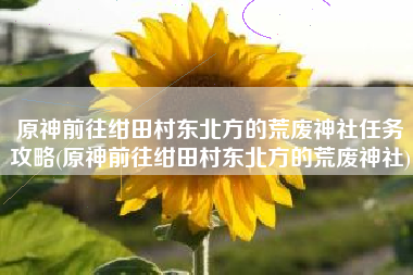 原神前往绀田村东北方的荒废神社任务攻略(原神前往绀田村东北方的荒废神社)