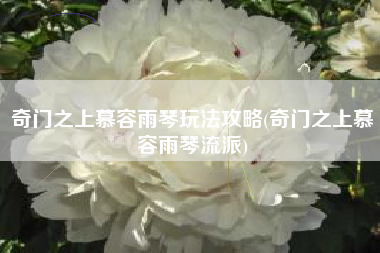 奇门之上慕容雨琴玩法攻略(奇门之上慕容雨琴流派)