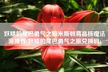 妖精的尾巴勇气之旅米斯顿葛晶核魔法源推荐(妖精的尾巴勇气之旅兑换码)