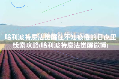 哈利波特魔法觉醒在不知疲倦的日夜里线索攻略(哈利波特魔法觉醒微博)