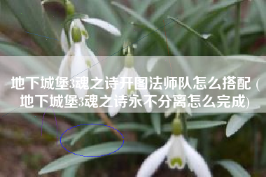 地下城堡3魂之诗开图法师队怎么搭配 (地下城堡3魂之诗永不分离怎么完成)