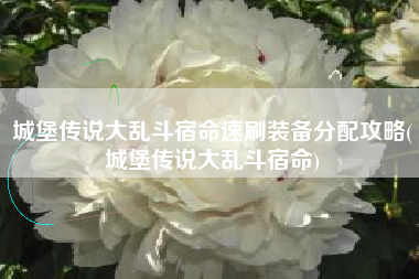 城堡传说大乱斗宿命速刷装备分配攻略(城堡传说大乱斗宿命)