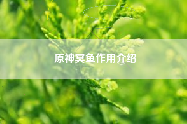 原神冥鱼作用介绍