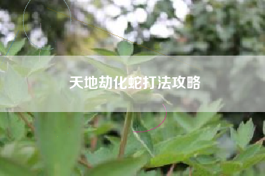 天地劫化蛇打法攻略