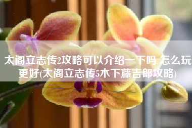 太阁立志传2攻略可以介绍一下吗 怎么玩更好(太阁立志传5木下藤吉郎攻略)