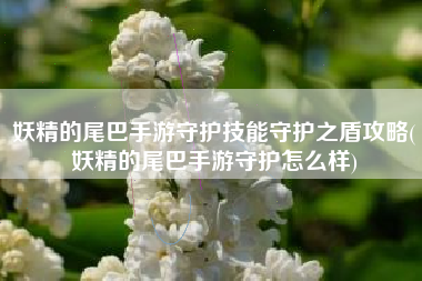 妖精的尾巴手游守护技能守护之盾攻略(妖精的尾巴手游守护怎么样)