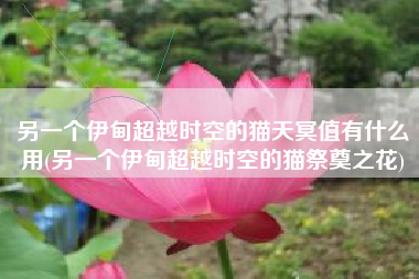 另一个伊甸超越时空的猫天冥值有什么用(另一个伊甸超越时空的猫祭奠之花)