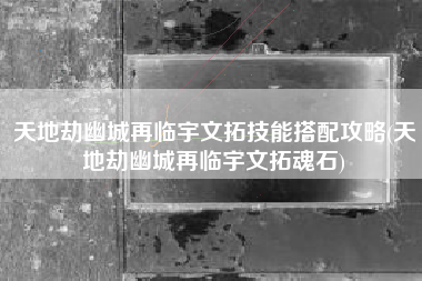天地劫幽城再临宇文拓技能搭配攻略(天地劫幽城再临宇文拓魂石)