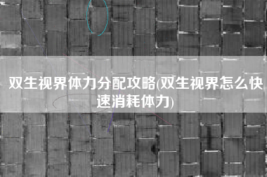 双生视界体力分配攻略(双生视界怎么快速消耗体力)