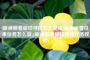 原神顺着脚印寻找怎么完成(原神冰雪往事任务怎么做)(原神顺着脚印寻找任务攻略)