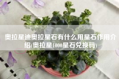 奥拉星迪奥拉星石有什么用星石作用介绍(奥拉星1000星石兑换码)