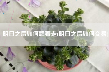明日之后如何飘着走(明日之后如何交易)