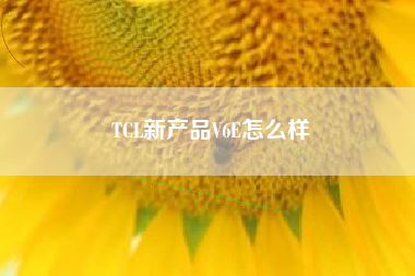 TCL新产品V6E怎么样