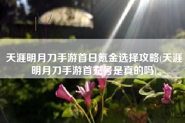 天涯明月刀手游首日氪金选择攻略(天涯明月刀手游首充号是真的吗)
