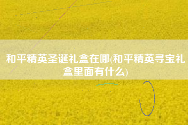 和平精英圣诞礼盒在哪(和平精英寻宝礼盒里面有什么)