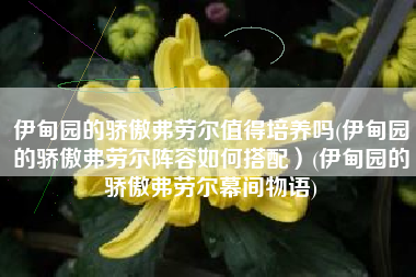 伊甸园的骄傲弗劳尔值得培养吗(伊甸园的骄傲弗劳尔阵容如何搭配）(伊甸园的骄傲弗劳尔幕间物语)