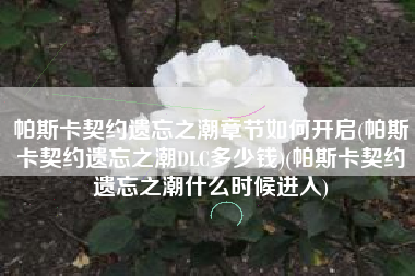帕斯卡契约遗忘之潮章节如何开启(帕斯卡契约遗忘之潮DLC多少钱)(帕斯卡契约遗忘之潮什么时候进入)