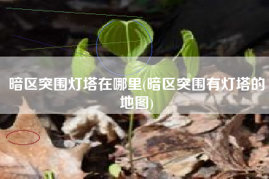暗区突围灯塔在哪里(暗区突围有灯塔的地图)