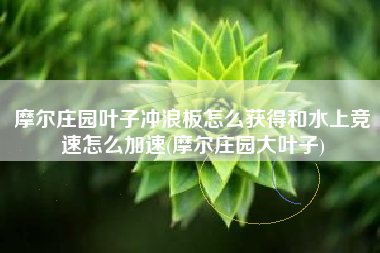 摩尔庄园叶子冲浪板怎么获得和水上竞速怎么加速(摩尔庄园大叶子)