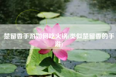 楚留香手游如何吃火锅(类似楚留香的手游)