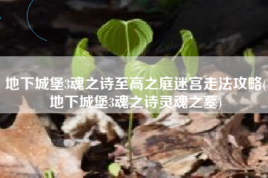 地下城堡3魂之诗至高之庭迷宫走法攻略(地下城堡3魂之诗灵魂之墓)