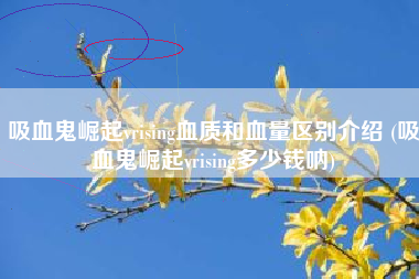 吸血鬼崛起vrising血质和血量区别介绍 (吸血鬼崛起vrising多少钱呐)