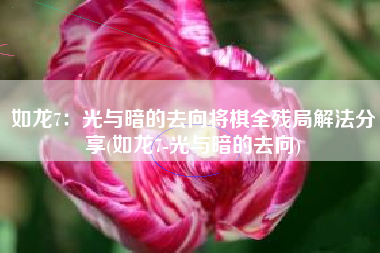 如龙7：光与暗的去向将棋全残局解法分享(如龙7-光与暗的去向)