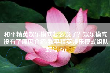 和平精英娱乐模式怎么没了？娱乐模式没有了原因介绍(和平精英娱乐模式组队封号吗)
