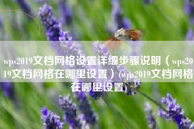 wps2019文档网格设置详细步骤说明（wps2019文档网格在哪里设置）(wps2019文档网格在哪里设置)