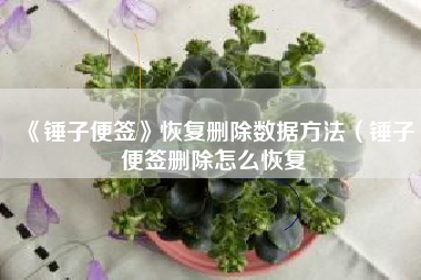 《锤子便签》恢复删除数据方法（锤子便签删除怎么恢复