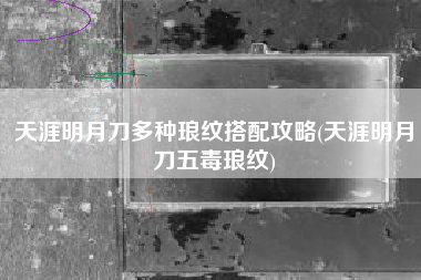 天涯明月刀多种琅纹搭配攻略(天涯明月刀五毒琅纹)