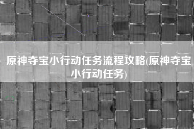 原神夺宝小行动任务流程攻略(原神夺宝小行动任务)