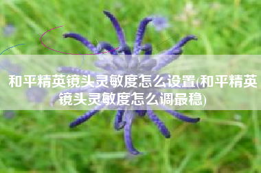 和平精英镜头灵敏度怎么设置(和平精英镜头灵敏度怎么调最稳)