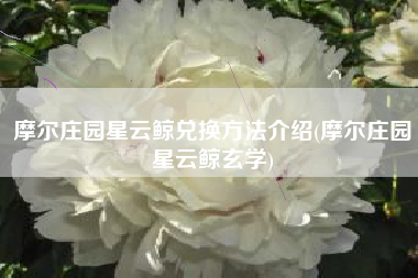 摩尔庄园星云鲸兑换方法介绍(摩尔庄园星云鲸玄学)