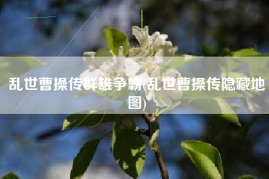 乱世曹操传群雄争霸(乱世曹操传隐藏地图)