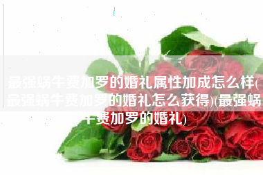 最强蜗牛费加罗的婚礼属性加成怎么样(最强蜗牛费加罗的婚礼怎么获得)(最强蜗牛费加罗的婚礼)