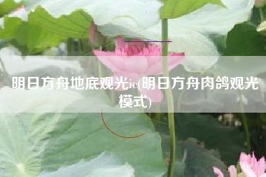 明日方舟地底观光ic(明日方舟肉鸽观光模式)