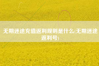 无期迷途充值返利规则是什么(无期迷途返利号)