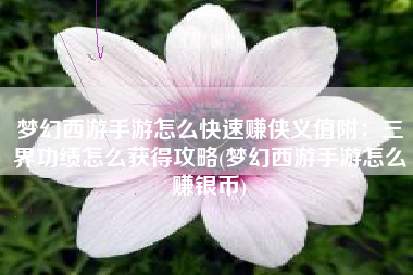 梦幻西游手游怎么快速赚侠义值附：三界功绩怎么获得攻略(梦幻西游手游怎么赚银币)