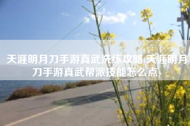 天涯明月刀手游真武洗练攻略(天涯明月刀手游真武帮派技能怎么点)